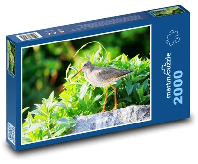 Obrázok produktu pre martinpuzzle - Puzzle 2000 - Vodouš - vták
