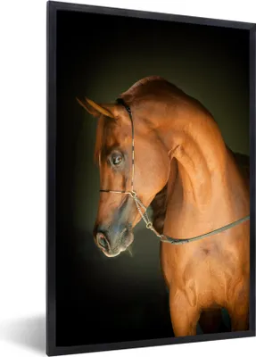 Produktbild von MuchoWow® MuchoWow® Gerahmtes Poster Pferd - Braun - Schwarz 60x90 cm - Poster mit zchwarzem Bilderrahmen - Kunst