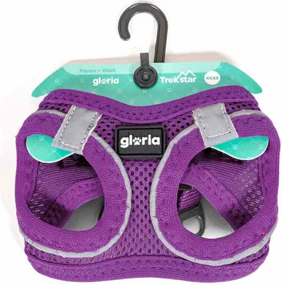 Produktbild von Hundegeschirr Gloria 41,4-43 cm Lila S 29,4-32,6 cm
