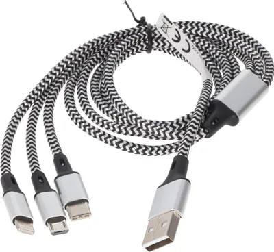 A coiled charging cable with multiple connectors.