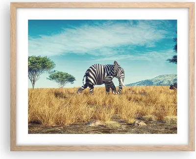 Produktbild von Gerahmtes Poster - Rahmen in heller Eiche - Surreal Elefant Rippen - 50x40 cm - Wand Bild - Wanddeko - Wandbilder - Kunstposter - Wandposter - Bilderrahmen - Bilder - Kunstdruck - P2NAA50x40-4717
