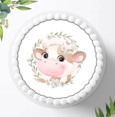 Produktbild von Für die Geburtstags Torte ein Tortenaufleger, Zuckerbild mit dem Motiv: Safari, Essbares Foto für Torten, Fondant, Ø 20cm, 0282z