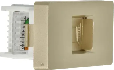 Produktbild von LAN CAT6 RJ45 Internet Steckdosenmodul gold DC SMART HOME