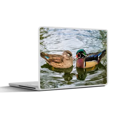 Produktbild von MuchoWow® Laptop Aufkleber Sticker Cover Ente - Vögel - Wasser - Federn - Tiere 30x21 cm - Sticker für Laptop - Selbstklebend
