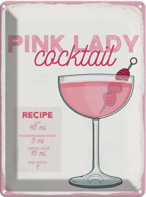 Produktbild von vianmo Blechschild 40x30 cm Pink Lady Cocktail Recipe Essen Trinken