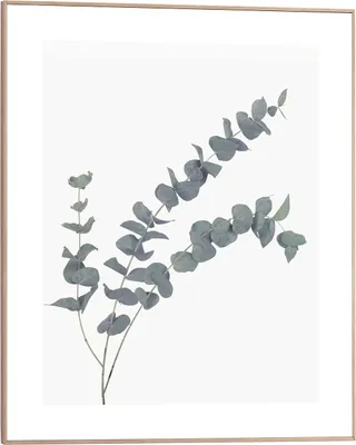 Produktbild von Wandbild - Weiß - Grau - 40 x 50 cm - mit Eucalyptus-Motiv