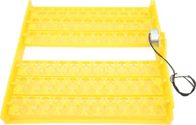 Image de Plateau d'incubation d'œufs Hollowstyle Incubateur entièrement automatique pour couverture de poulet Caille (220 V)