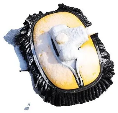 Image de Brosse de nettoyage, manche télescopique, conception à double brosse, brosses de nettoyage
