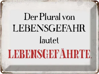Zdjęcie produktu dla vianmo Blaszany znak 30x40 cm plural von Lebensgefahr lautet