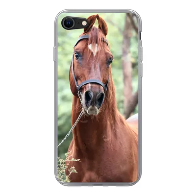 Produktbild von MuchoWow® Handyhülle Schutzhülle Hülle für iPhone 8 Pferd - Wald - Halfter Silikon Softcase Handy Hülle - Schutzhaube