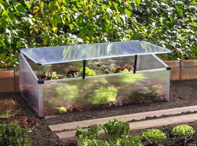 Produktbild von Vitavia Frühbeet Feronia aus Kunststoff in grau Juwel Pflanzen Aufzucht