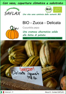 Immagine prodotto di SAFLAX Garden to go - BIO - Zucca - Delicata - 6 semi - Cucurbita