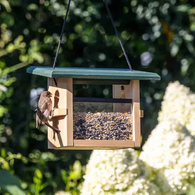 Produktbild von CJ Wildlife Vogelhaus zum Aufhängen - aus Holz ( 100%) - Einflugloch Ø 32 mm - für kleine Vögel (Kohlmeise, Blaumeise) - mit Seil
