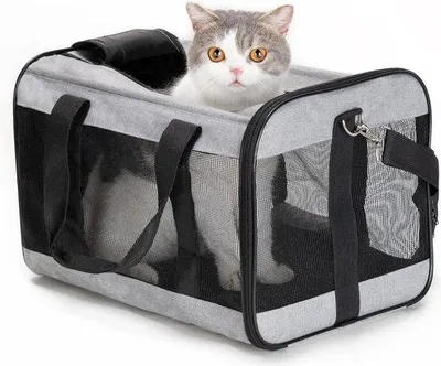 Produktbild von Famanu Transportbox für Hunde und Katzen - faltbare Reisetasche - lufthafengenehmigt - (M)