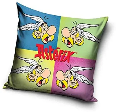Produktbild von Aterix & Obelix - Kopfkissenbezug 'Asterix' 40x40cm