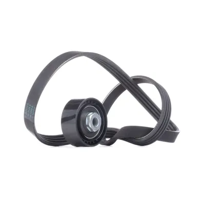 Produktbild von RIDEX 542R0101 Keilrippenriemensatz für RENAULT CLIO II (BB0/1/2, CB0/1/2)