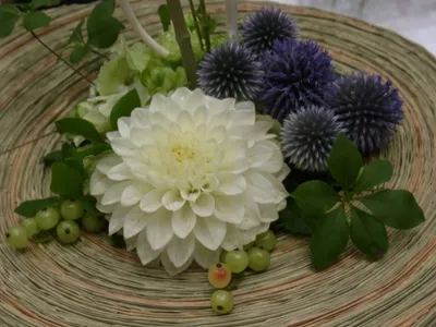 Produktbild von 3 D Ansichtskarte Dahlie, Postkarte Wackelkarte Hologrammkarte Blumen Dahlien