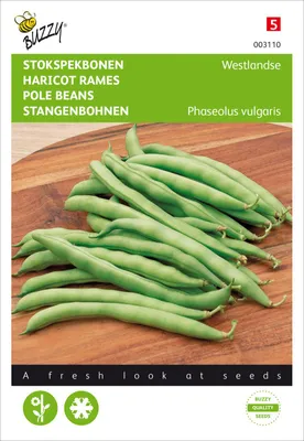 Produktbild von Stangenbohnen Westländer | Stangenbohnensamen von Buzzy Seeds