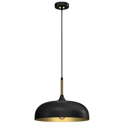 A black and gold pendant light fixture against a white background.
