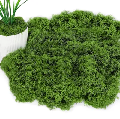 Image de 100 g de mousse artificielle, vert foncé, mousse artificielle pour le bricolage et la décoration, mousse décorative pour les décorations de Pâques et de printemps (vert foncé)