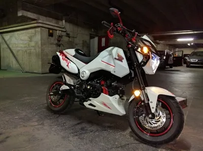 Image de Pour Honda MSX 125 2013 2014 2015 Protection moteur blanc