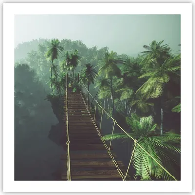 Produktbild von Poster - Poster ohne Rahmen - Dschungel Palme Brücke - 60x60 cm - Wand Bild - Wanddeko - Wandbilder - Kunstposter - Wandposter - Bilder - Kunstdruck - Wanddekoration - Wandbild - P2XAC60x60-3674