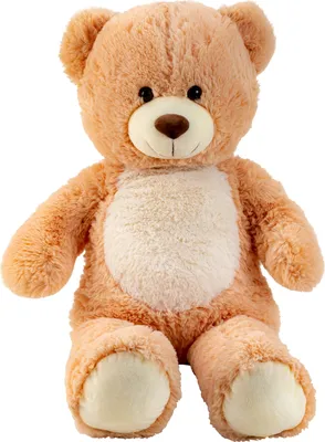 A plush teddy bear sitting against a white background.