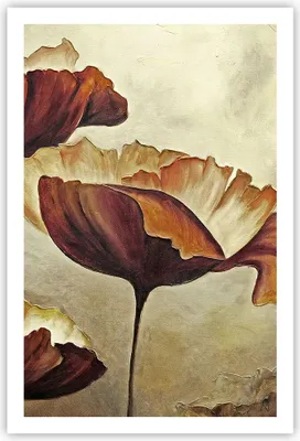 Produktbild von Poster - Poster ohne Rahmen - Mohn Blume Wiese - 61x91,5 cm - Wand Bild - Wanddeko - Wandbilder - Kunstposter - Wandposter - Bilder - Kunstdruck - Wanddekoration - Wandbild - P2XPA61x91-3760