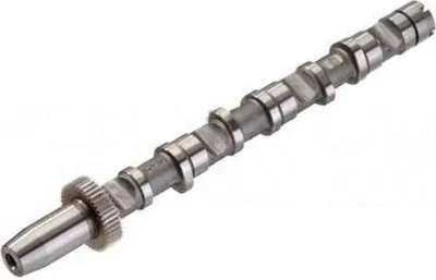 Produktbild von KOLBENSCHMIDT 50006347 Nockenwelle Einlass für Zylinder 4-6 für AUDI A4 Avant (8ED, B7) A4 Avant (8E5, B6) A6 Avant (4B5, C5) A4 Limousine (8E2, B6)