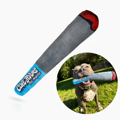 Immagine prodotto di Gioco per cani in peluche con squeaker - JOINT, 26 cm Blu