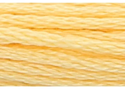 Immagine prodotto di Filo da ricamo "Anchor", 8 metri, color vaniglia scuro, cotone, codice colore 301, 6 capi