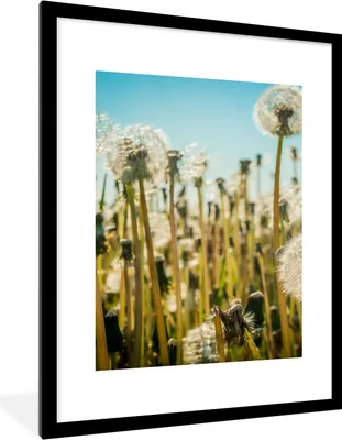 Produktbild von MuchoWow® Gerahmtes Poster Blumen - Löwenzahn - Gras 60x80 cm - Poster mit Schwarzem Bilderrahmen Wandposter Rahmen Foto Bilder - Wohnzimmer - Dekorationen - Prämie