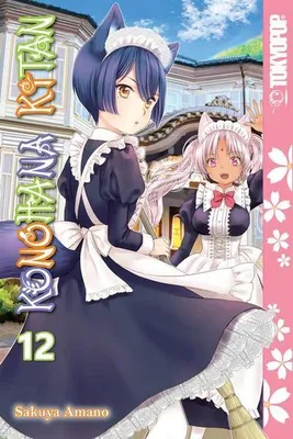 Obrázok produktu pre Konohana Kitan, Volume 12