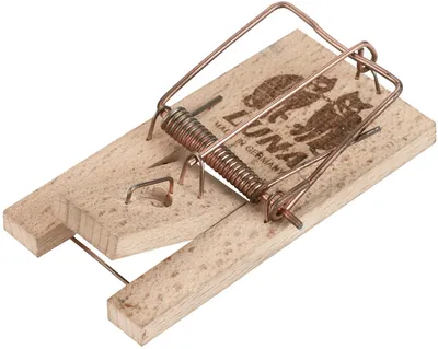 Image de Pièges à souris Luna modèle classique en bois avec barre d'appât set de 2 pièces