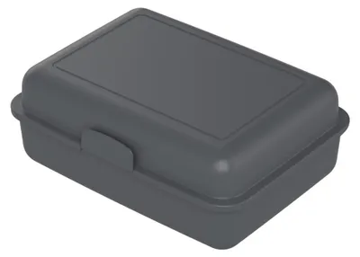 Produktbild von Lunchbox "School-Box" groß - Nachhaltige Brotzeitbox aus Zuckerrohr - Brotdose ideal für Kinder und Erwachsene - schiefer