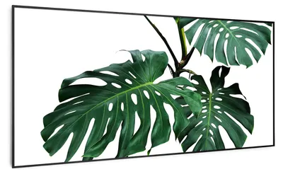 Produktbild von Klarstein Air Art Smart Infrarotheizung, Infrarot Heizung mit IoT/WiFi App-Steuerung, Erkennung Offener Fenster, Infrarotheizung mit Thermostat, Heizung zur Wandmontage, CO2-Freie Elektroheizung 700W