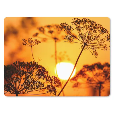 Produktbild von MuchoWow® Mauspad Mousepad Pflanzen - Blumen - Sonnenuntergang - Orange 40x30 cm - Mousepads - Maus Mat - Pad - Mausunterlage - Anti Rutsch
