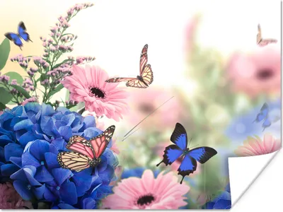 Produktbild von MuchoWow® Poster Schmetterlinge - Blumen - Hortensie - Insekten 120x90 cm - Wandbild