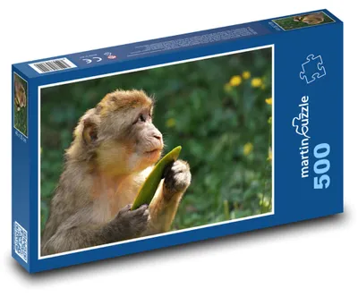 Zdjęcie produktu dla Puzzle 500 Makak z liściem w dżungli - martinpuzzle