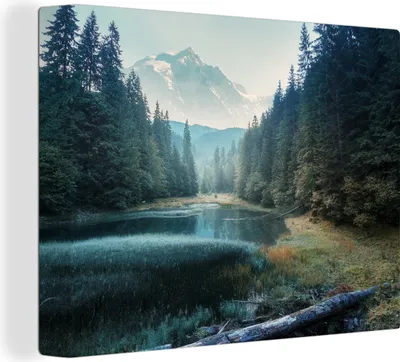 Produktbild von MuchoWow® - Leinwandbilder - Wald - Gras - Berge - Bäume - Natur, Wandbild, Wanddeko Bilder Wohnzimmer, 80x60cm