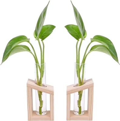 Produktbild von Reagenzglaskolben-Vase aus Holz – Set aus 2 – Anzuchttopf für Pflanzenstecklinge – Hydrokultur-Vase – Für Stecklinge