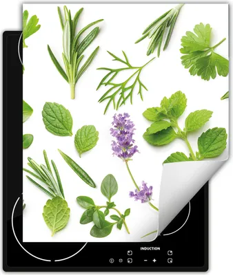 Image de DarHaus Plaque de recouvrement pour cuisinière 45x52 cm Tapis antidérapant Enroulable, vert - Herbes aromatiques