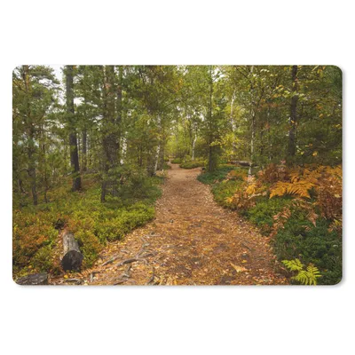 Produktbild von MuchoWow® Mauspad Mousepad Wald - Weg - Herbst - Laub 27x18 cm - Mousepads - Maus Mat - Pad - Mausunterlage - Büroartikel - Desk Matten