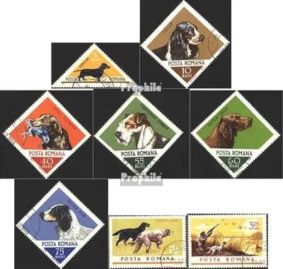 Produktbild von Briefmarken Rumänien 1965 Mi 2470-2477 (kompl.Ausg.) postfrisch Jagdhunde