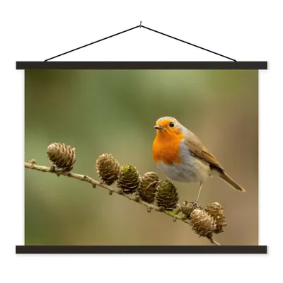 Produktbild von MuchoWow® Textilposter Vogel - Rotkehlchen - Tannenzapfen - Zweig - Herbst 150x113 cm mit schwarzem Rahmen - Wohnzimmer