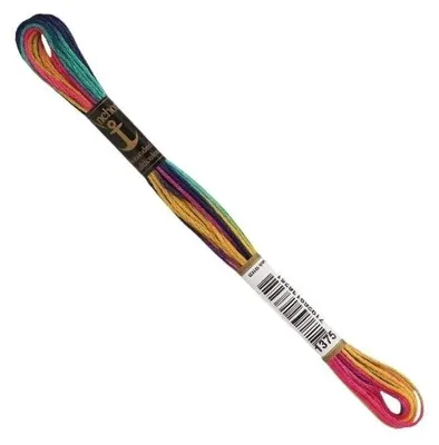 A single skein of multicolor embroidery thread is shown diagonally against a white background.