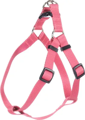 Produktbild von Flamingo Geschirr Noekie rosa, Größe: M / Breite: 20 mm