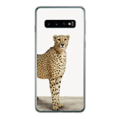 Produktbild von MuchoWow® Handyhülle Schutzhülle Hülle für Samsung Galaxy S10 Leopard - Tiere - Weißer Hintergrund - Kinder - Jungen - Mädchen Silikon Softcase Handy Hülle - Handytasche