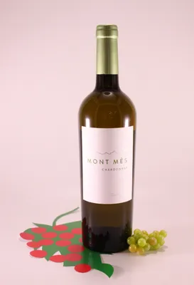 Produktbild von Chardonnay Mont Més Sommerwein - 2021 - Castelfeder Kellerei