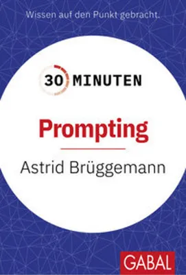 Produktbild von 30 Minuten Prompting